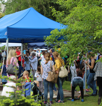 Gazebo 6x3 blu in un parco ad una festa popolare in un parco