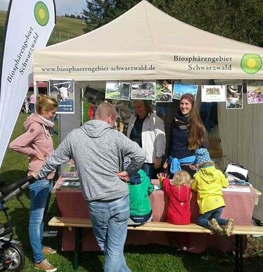 Gazebo ecru 3x3 personalizzato con logo e teli laterali con bandiera pubblicitaria a goccia utilizzati per infopoint Forest Nera