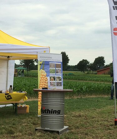 Gazebo giallo per agricoltura Muething 3x3 per vendita prodotti agricoli davanti a un campo di pannocchie