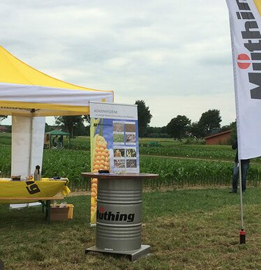 Gazebo giallo per agricoltura Muething 3x3 per vendita prodotti agricoli davanti a un campo di pannocchie